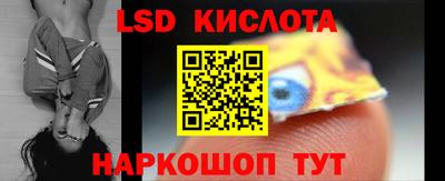 шишки Лесосибирск