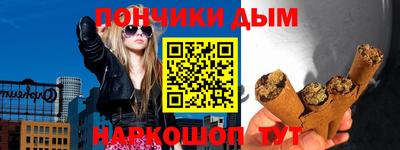 шишки Лесосибирск