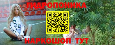 шишки Лесосибирск