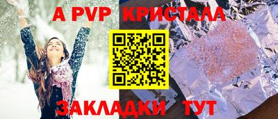 шишки Лесосибирск