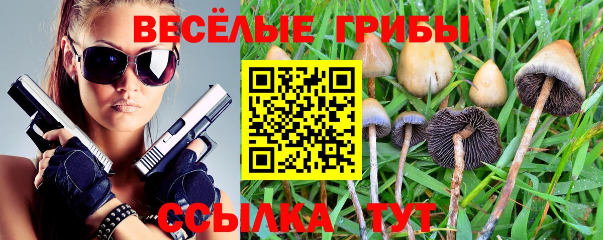 Псилоцибиновые грибы прущие грибы Электросталь