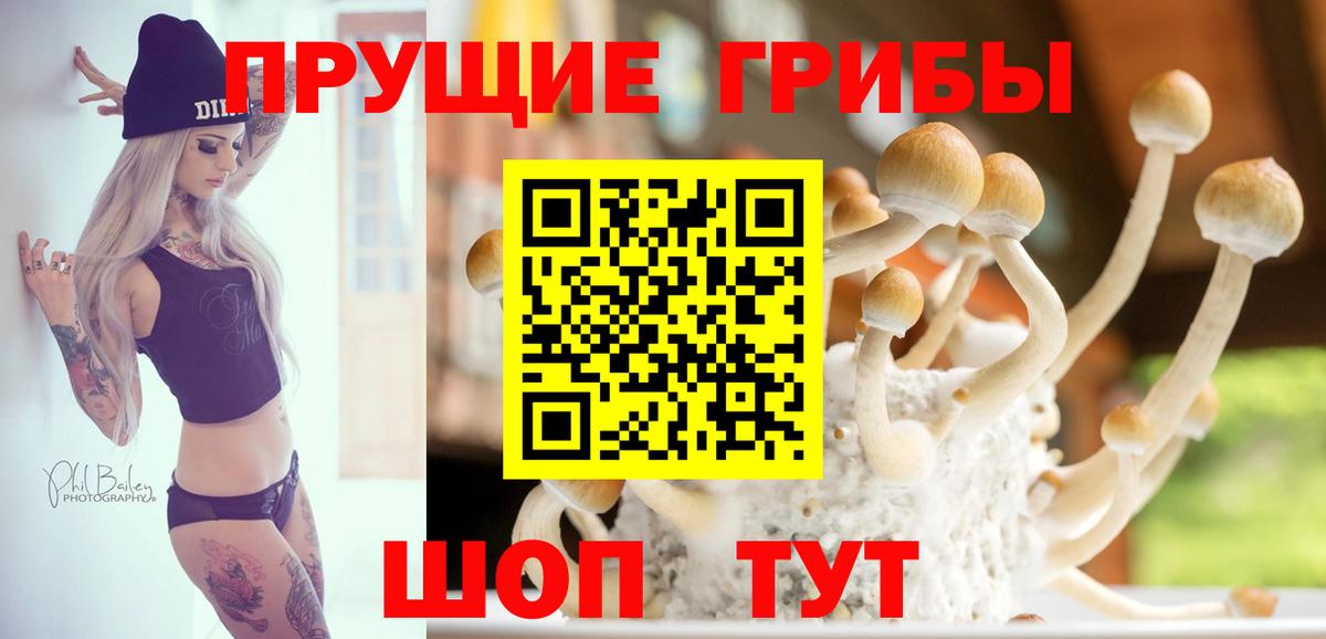 Меф   Гашиш  Вход с VPN  Лсд 25  Электросталь  ЭКСТАЗИ  Гашиш  Конопля  A PVP СК  